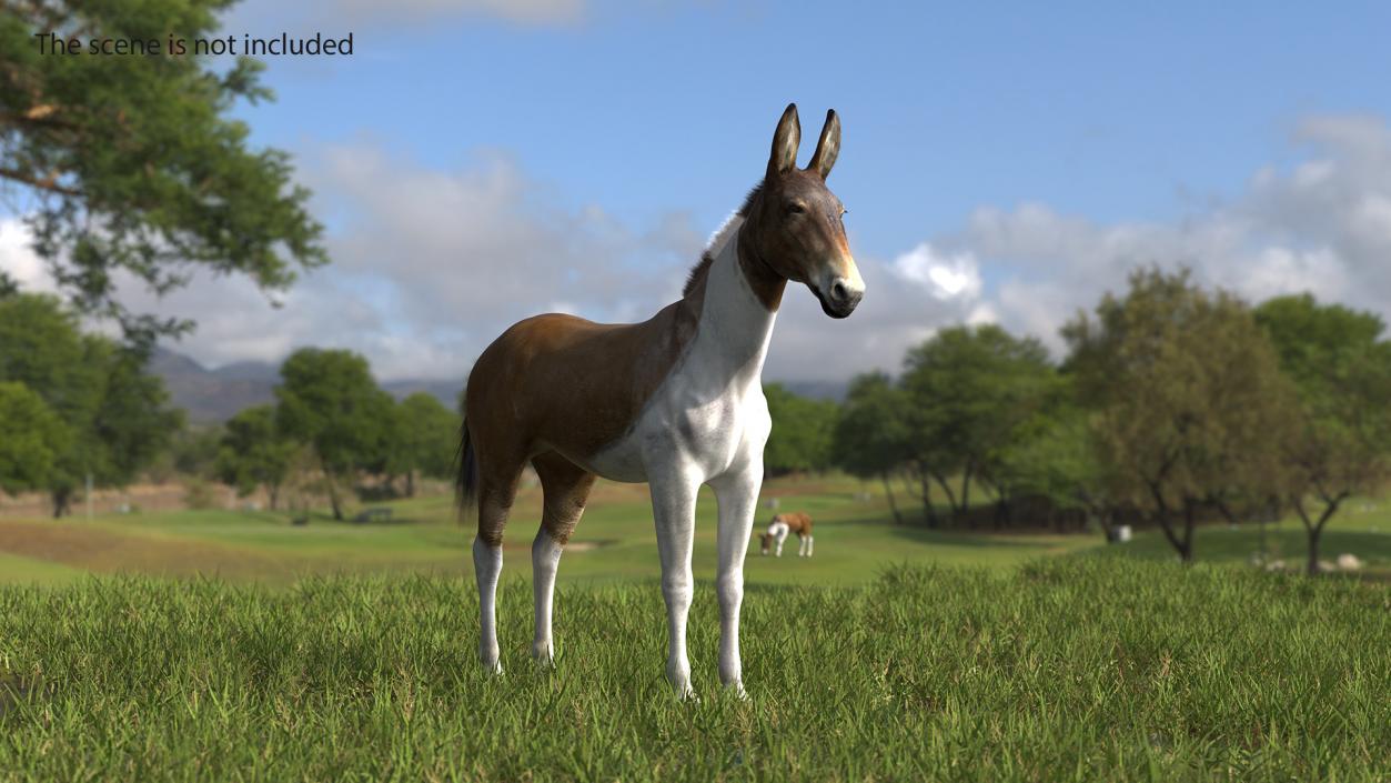 3D model Mule Fur Rigged