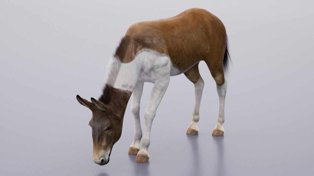 3D model Mule Fur Rigged