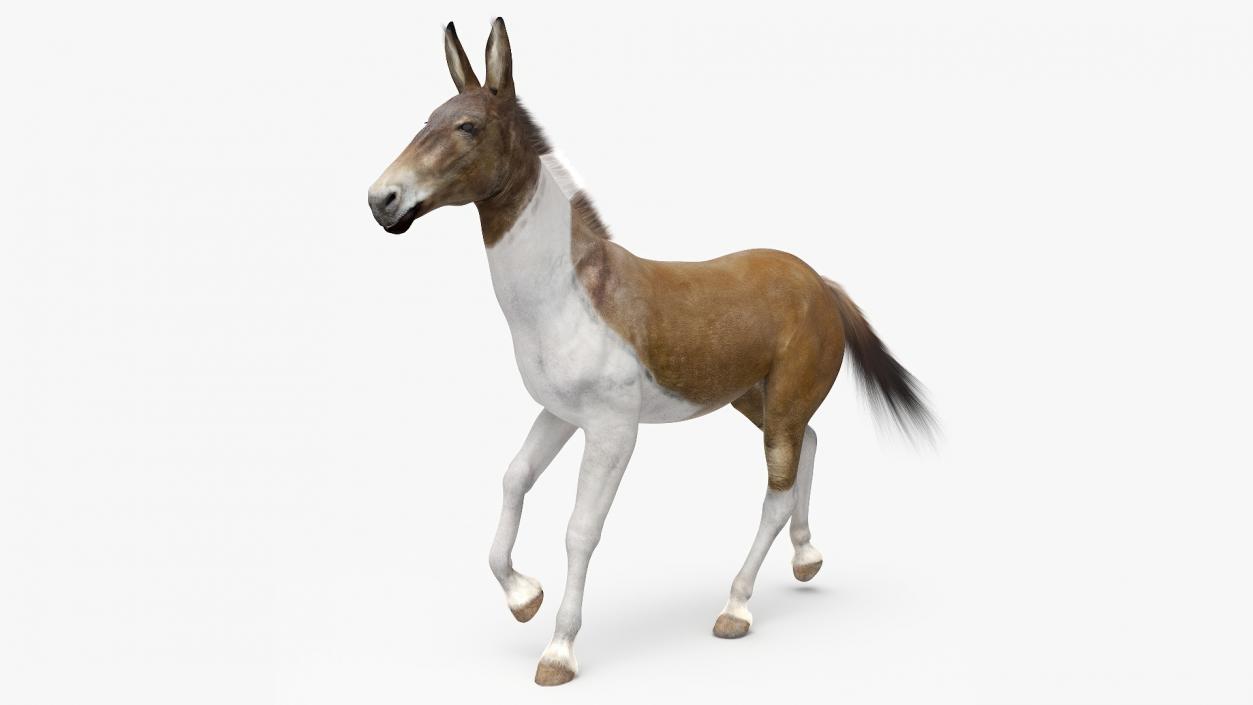 3D model Mule Fur Rigged