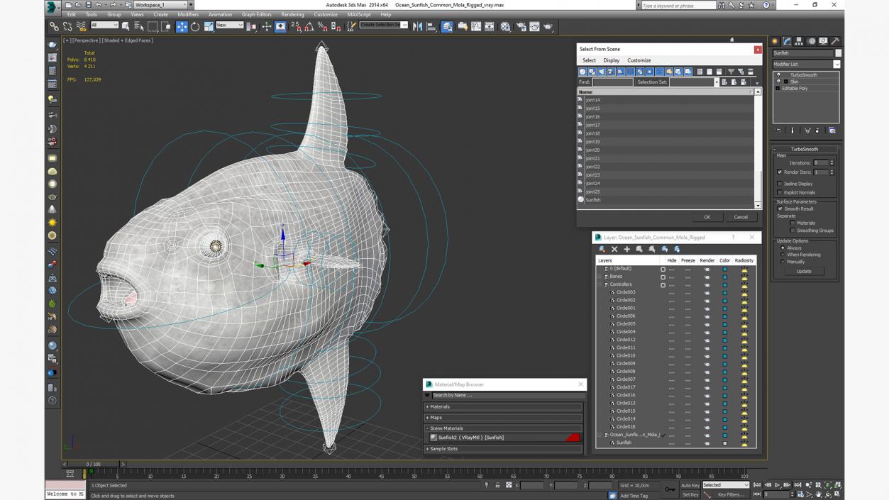 Ocean Sunfish Common Mola Rigged 3D