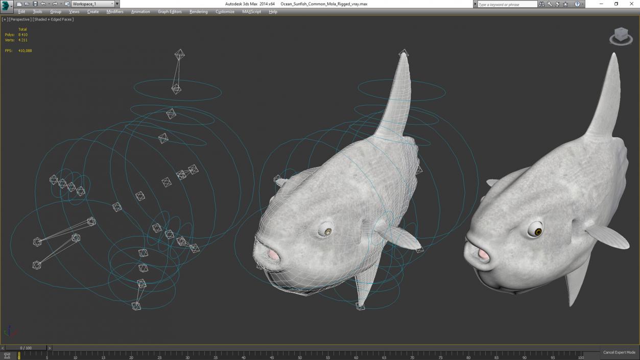 Ocean Sunfish Common Mola Rigged 3D