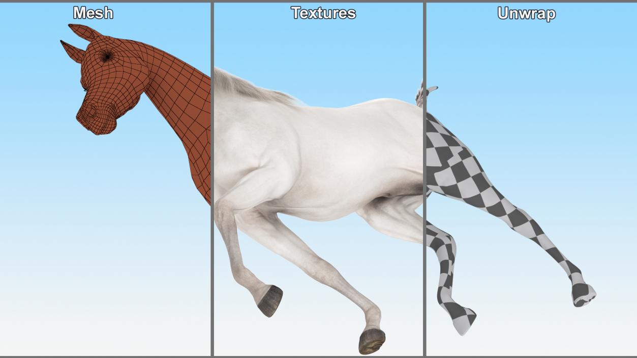 3D Walking Arabian Horse White Fur