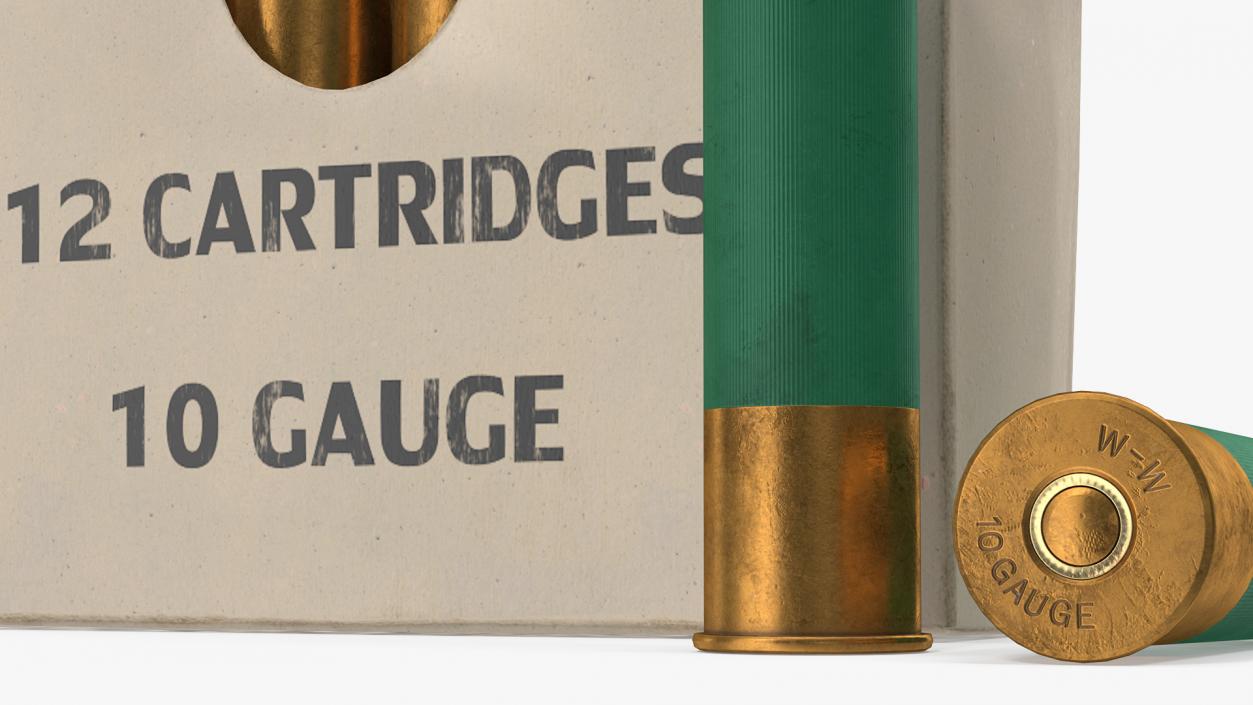 3D model Box of 10 Gauge Shotgun Shells