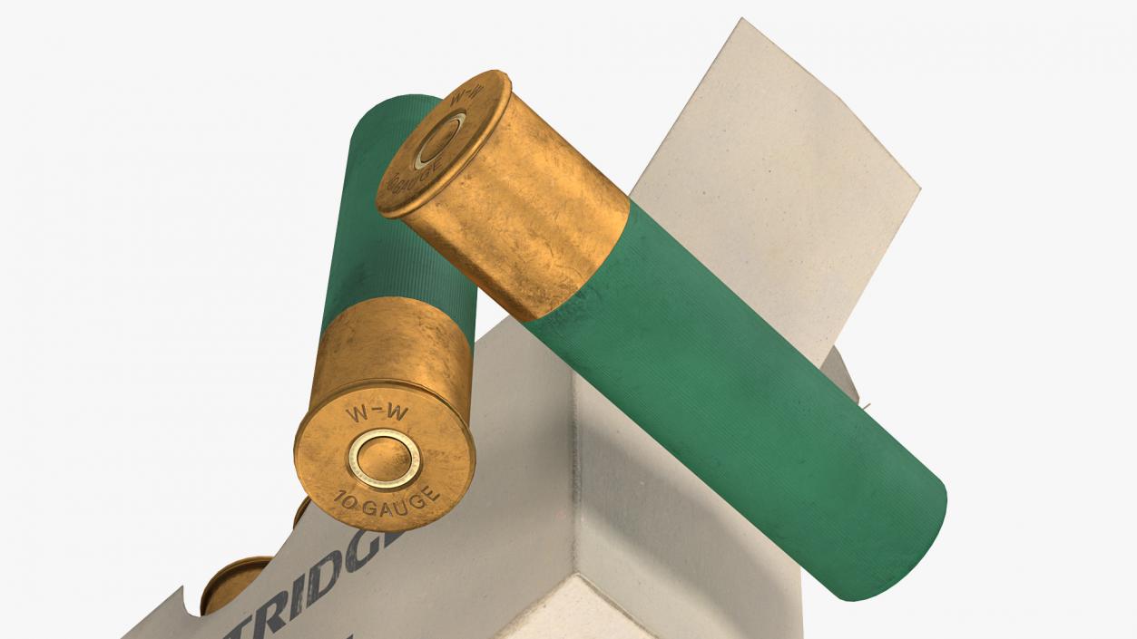 3D model Box of 10 Gauge Shotgun Shells