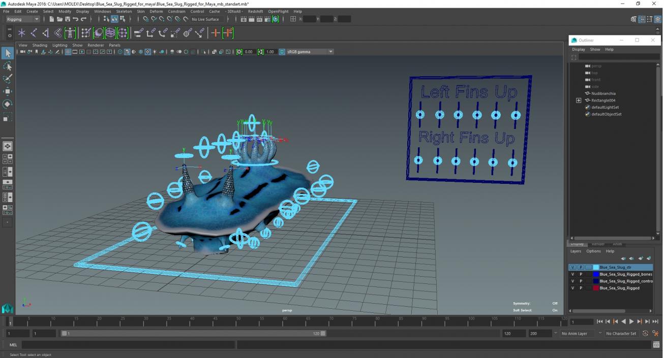 Blue Sea Slug Rigged for Maya 3D model