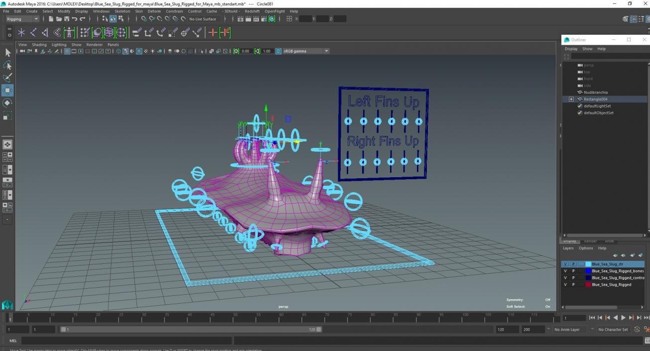 Blue Sea Slug Rigged for Maya 3D model