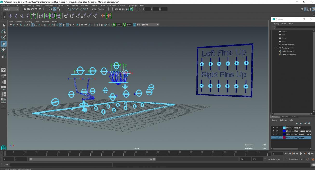 Blue Sea Slug Rigged for Maya 3D model