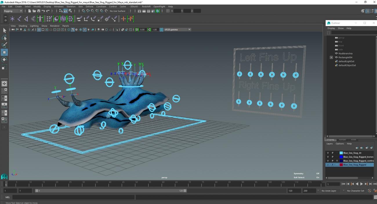 Blue Sea Slug Rigged for Maya 3D model