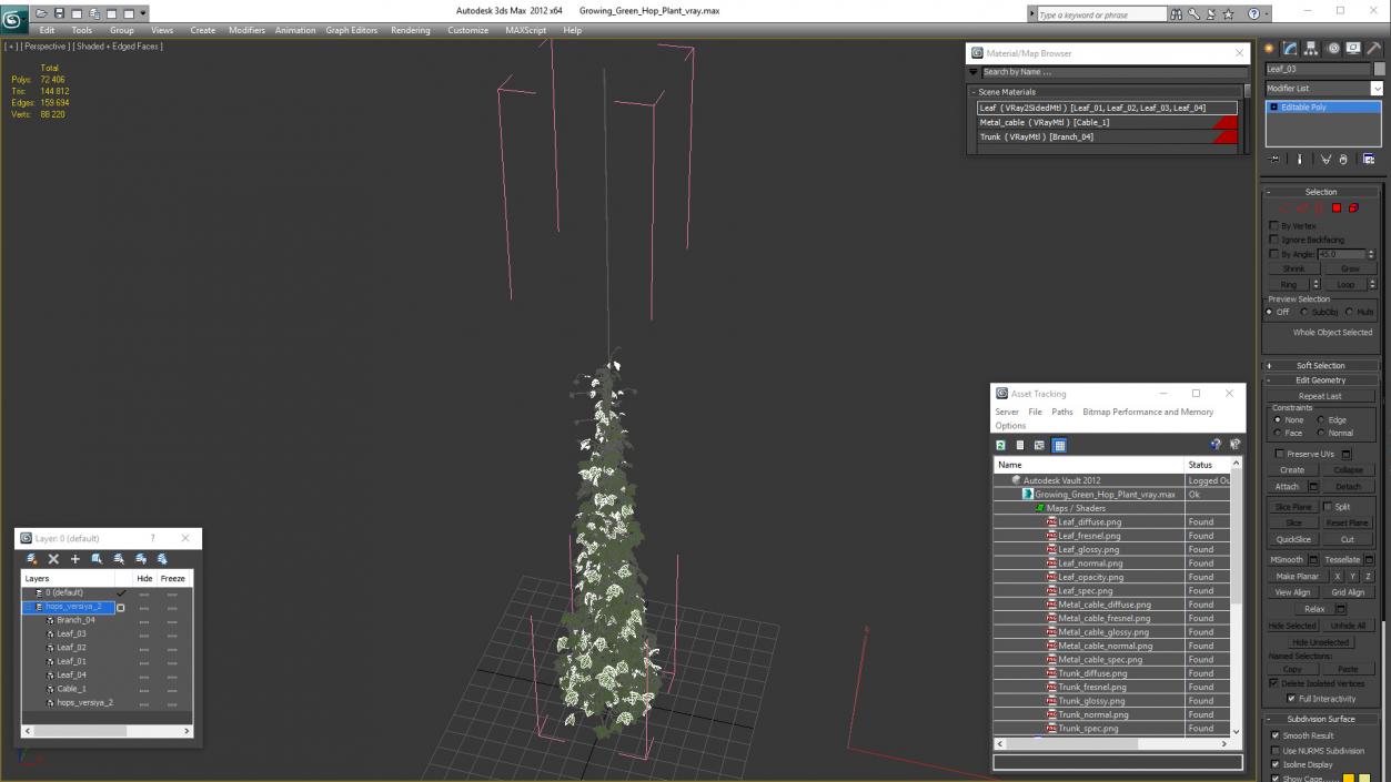 3D Growing Green Hop Plant model