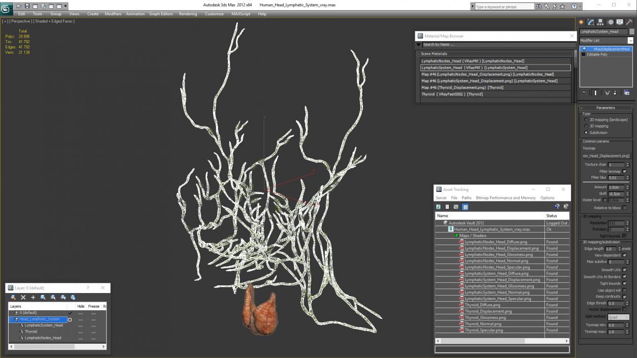 Human Head Lymphatic System 3D