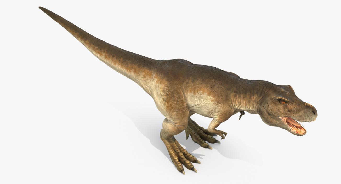 Tyrannosaurus Rex Rigged 3D model