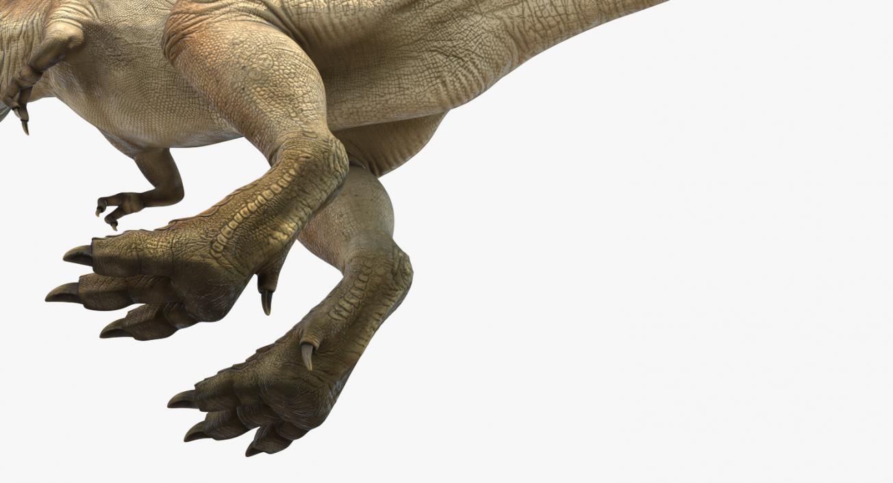 Tyrannosaurus Rex Rigged 3D model