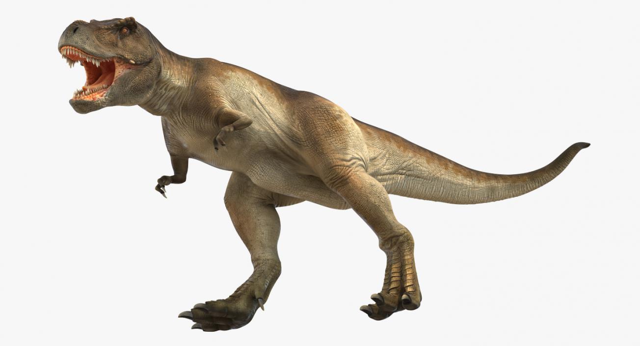 Tyrannosaurus Rex Rigged 3D model