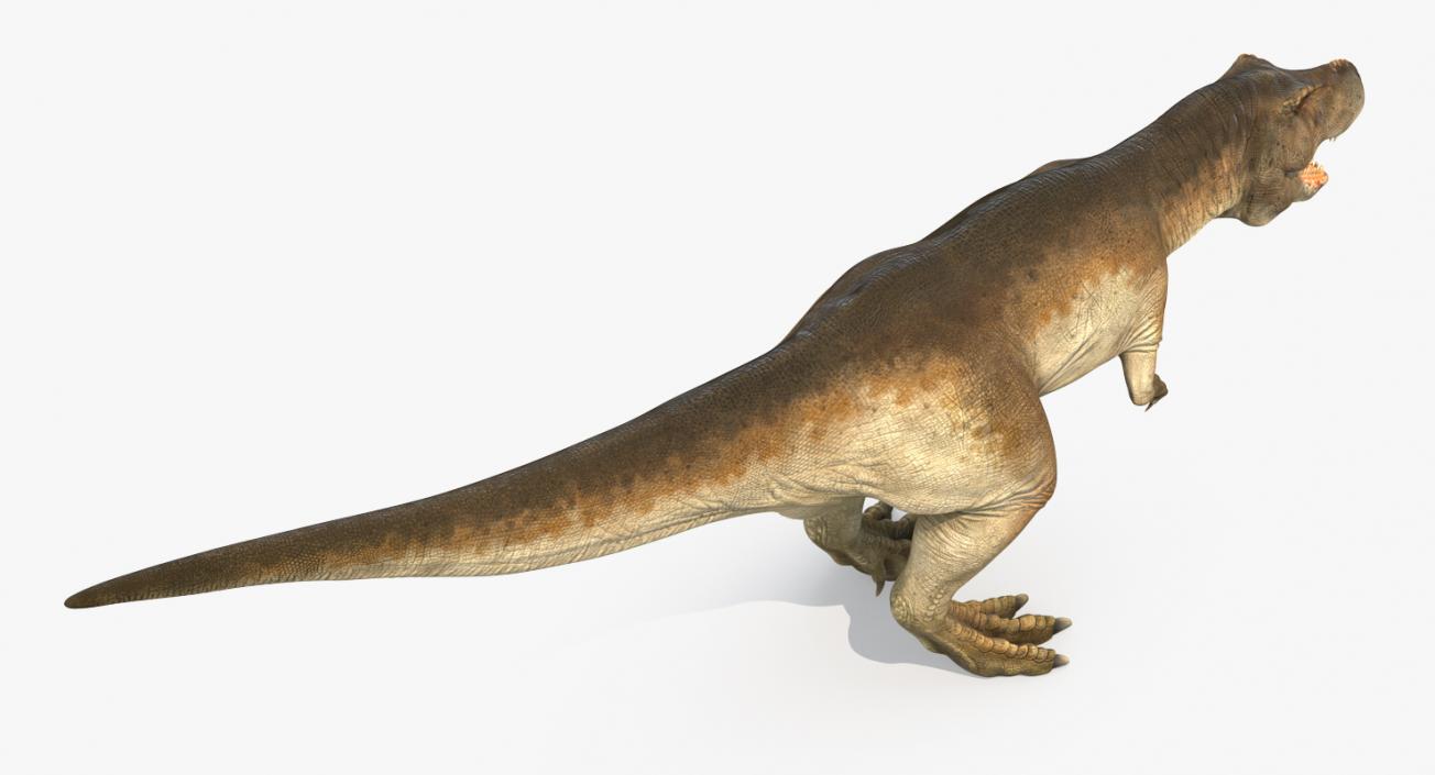 Tyrannosaurus Rex Rigged 3D model