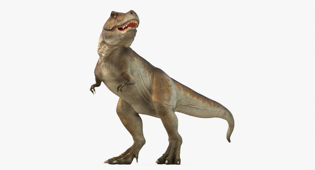 Tyrannosaurus Rex Rigged 3D model