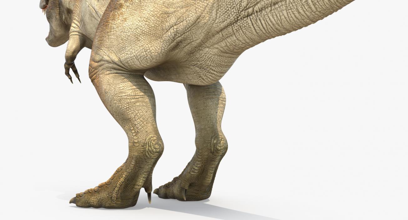 Tyrannosaurus Rex Rigged 3D model