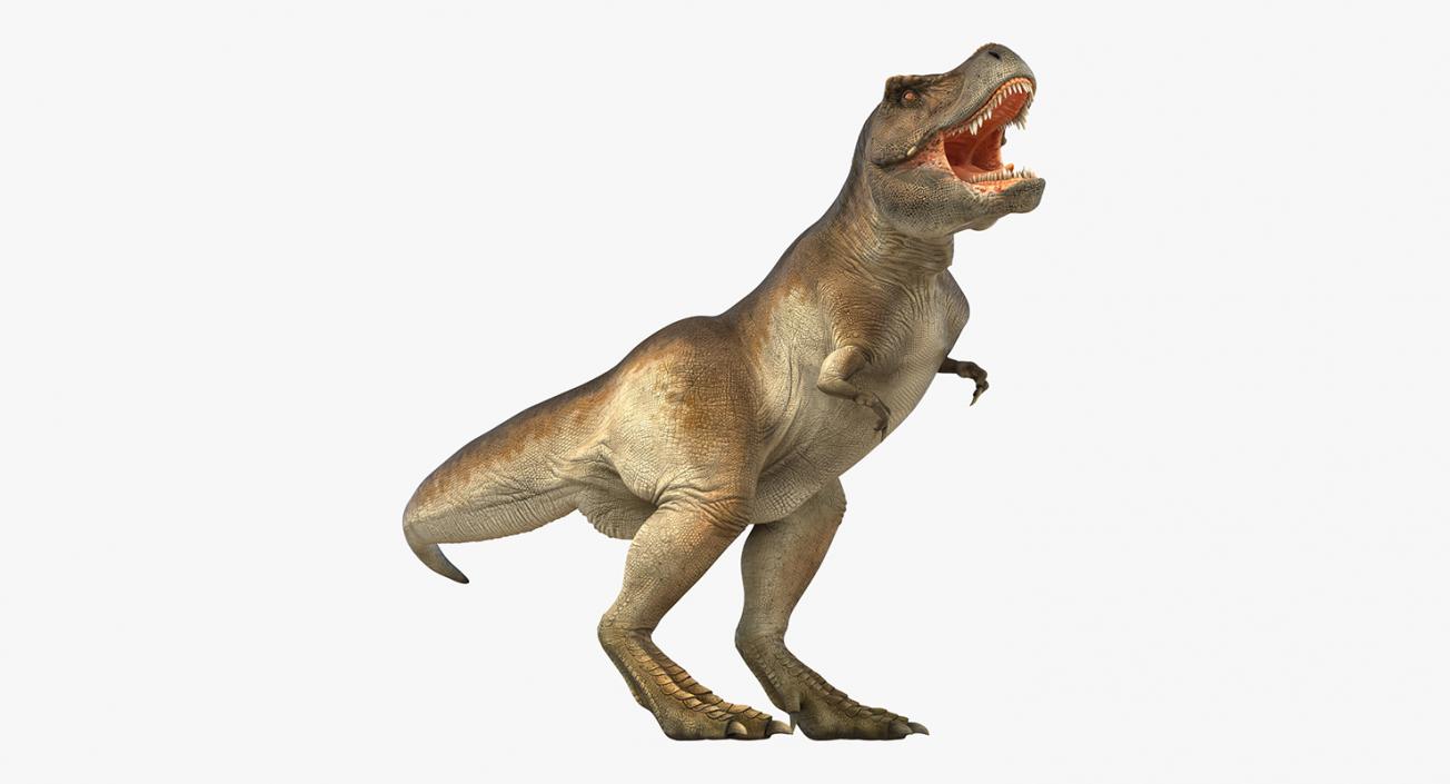 Tyrannosaurus Rex Rigged 3D model