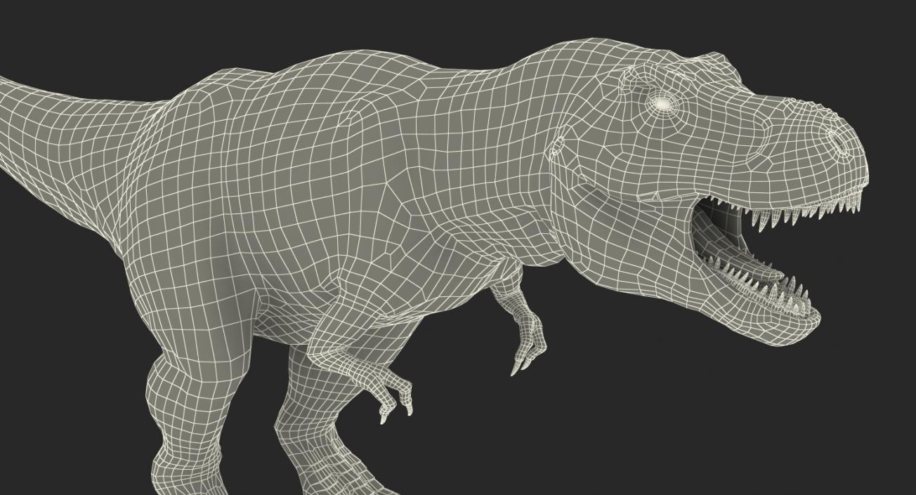 Tyrannosaurus Rex Rigged 3D model