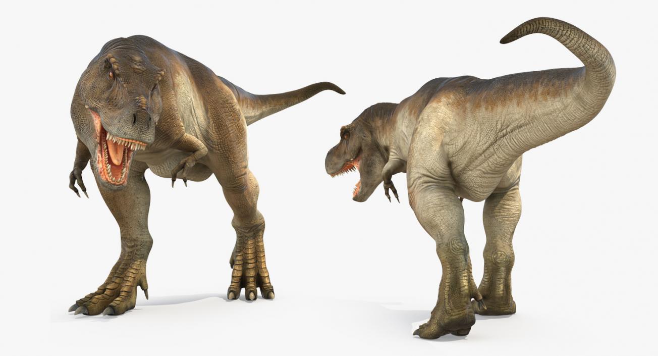 Tyrannosaurus Rex Rigged 3D model