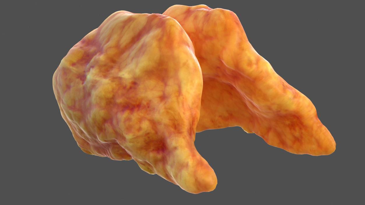 3D Human Thyroid model