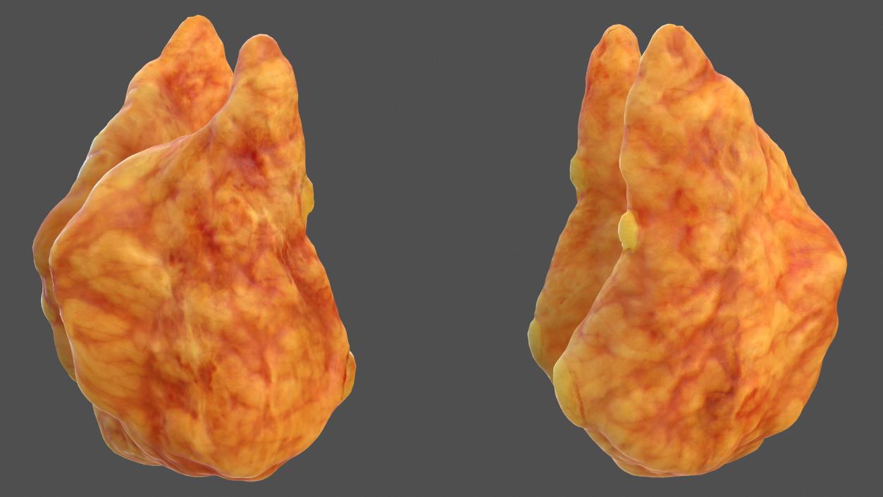 3D Human Thyroid model