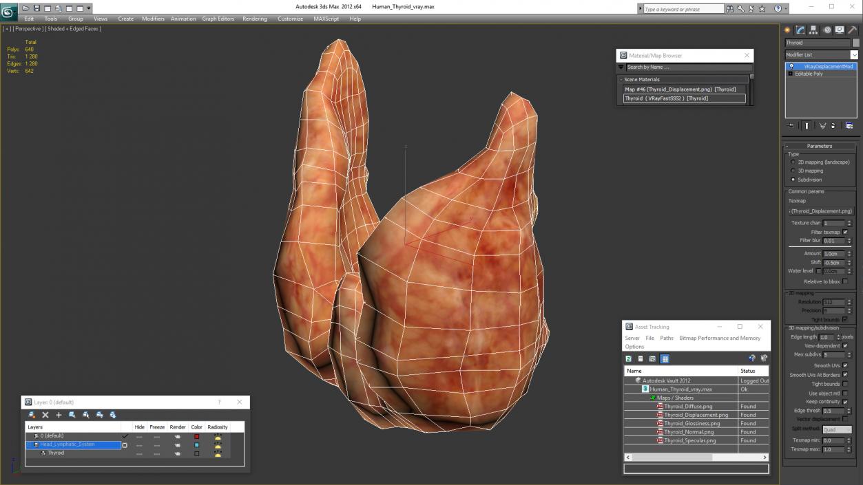 3D Human Thyroid model