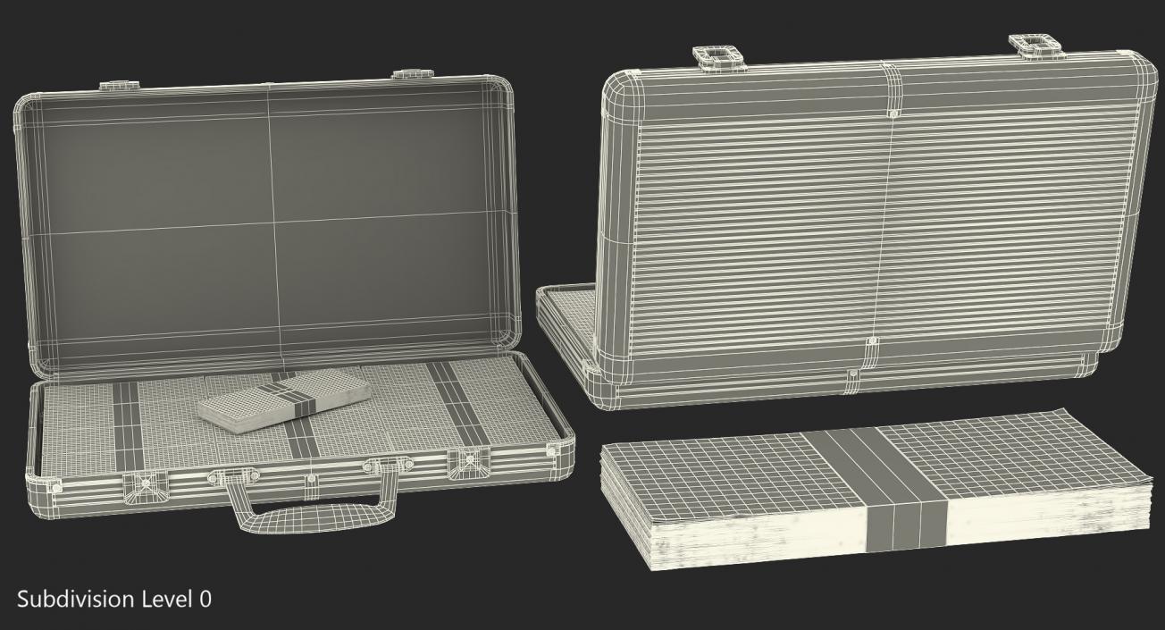 Aluminum Case Full Of Money 3D