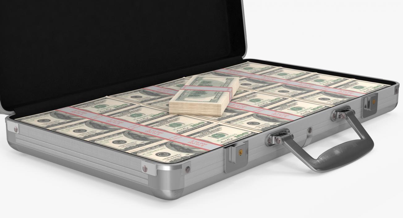 Aluminum Case Full Of Money 3D