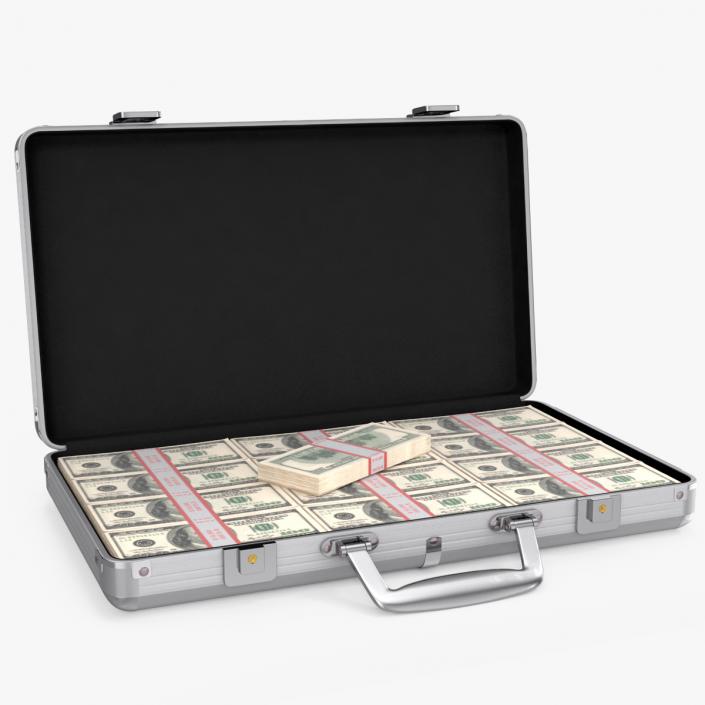 Aluminum Case Full Of Money 3D