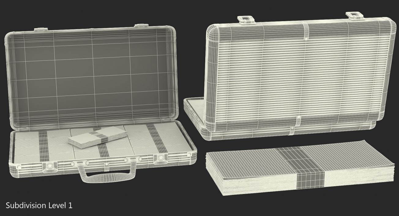 Aluminum Case Full Of Money 3D