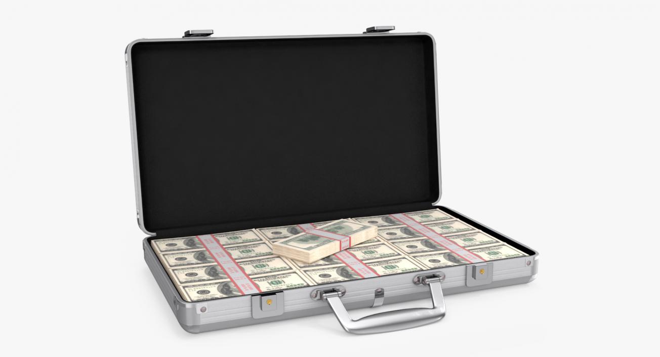 Aluminum Case Full Of Money 3D