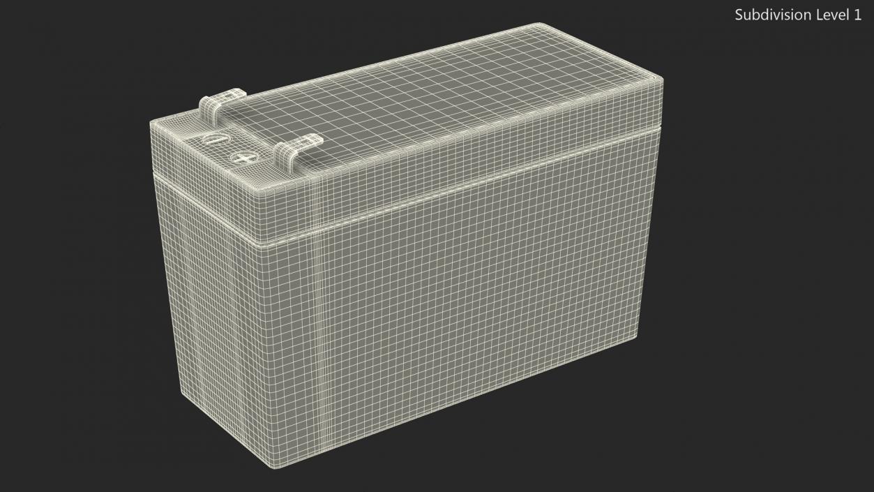 Sealed Lead Acid Battery 3D model