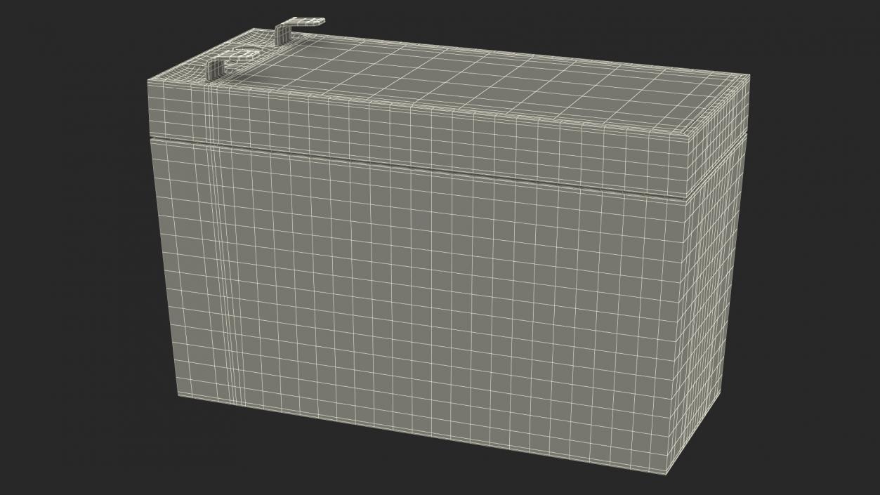 Sealed Lead Acid Battery 3D model