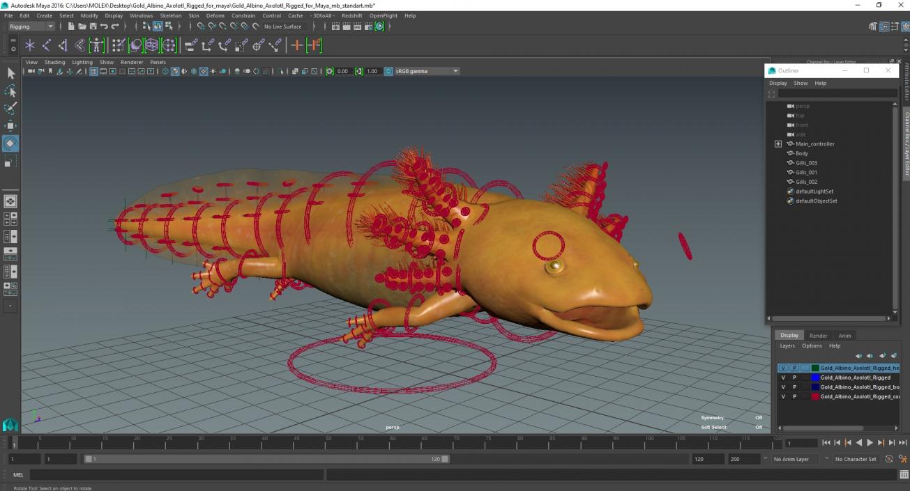 Gold Albino Axolotl Rigged for Maya 2 3D