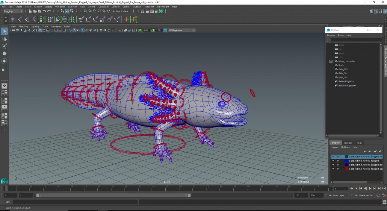 Gold Albino Axolotl Rigged for Maya 2 3D