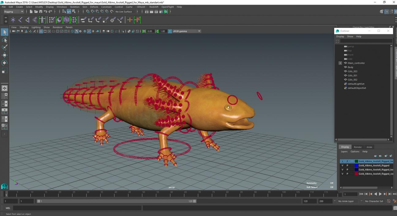 Gold Albino Axolotl Rigged for Maya 2 3D