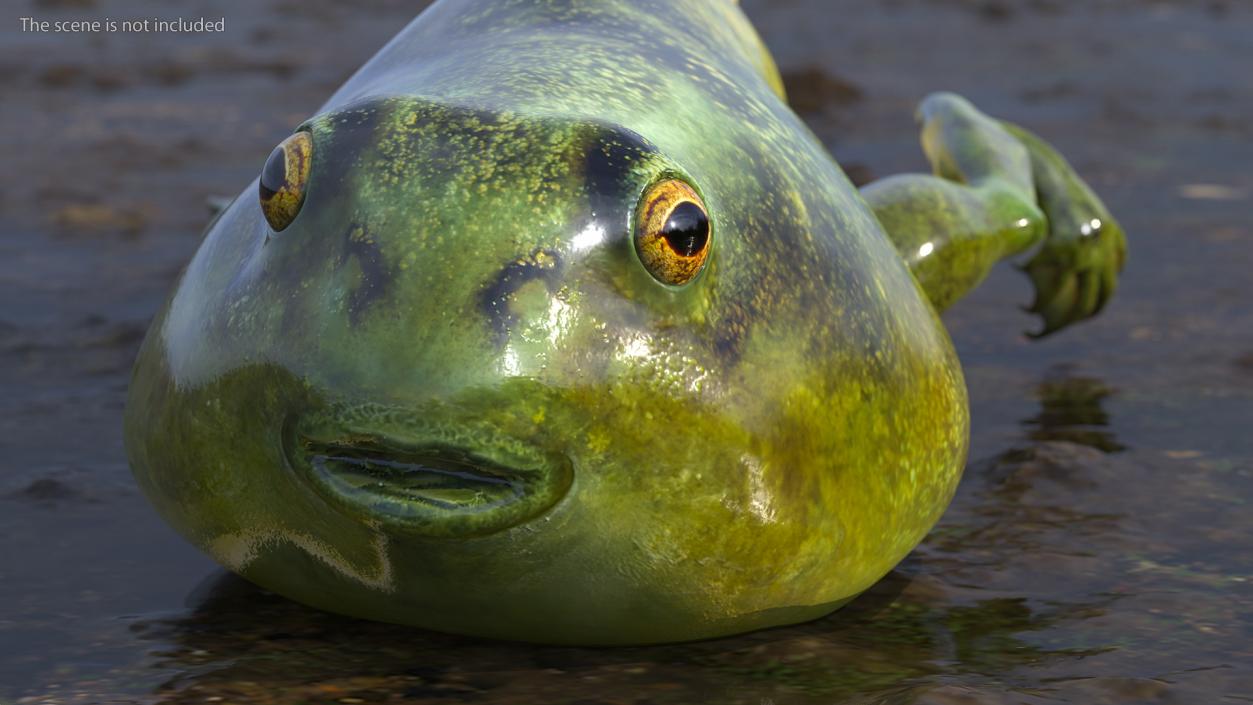 Tadpole with Legs 3D