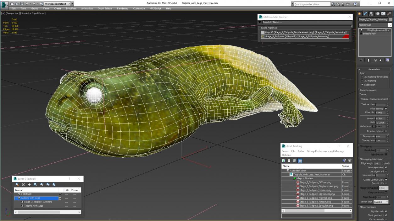 Tadpole with Legs 3D