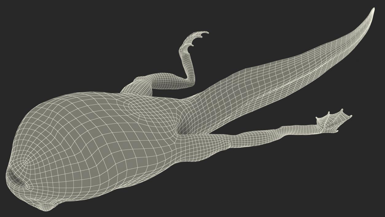 Tadpole with Legs 3D