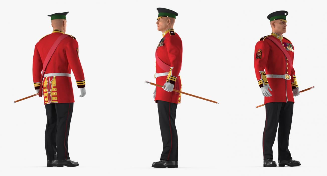 Irish Guard Sergeant Standing 3D model