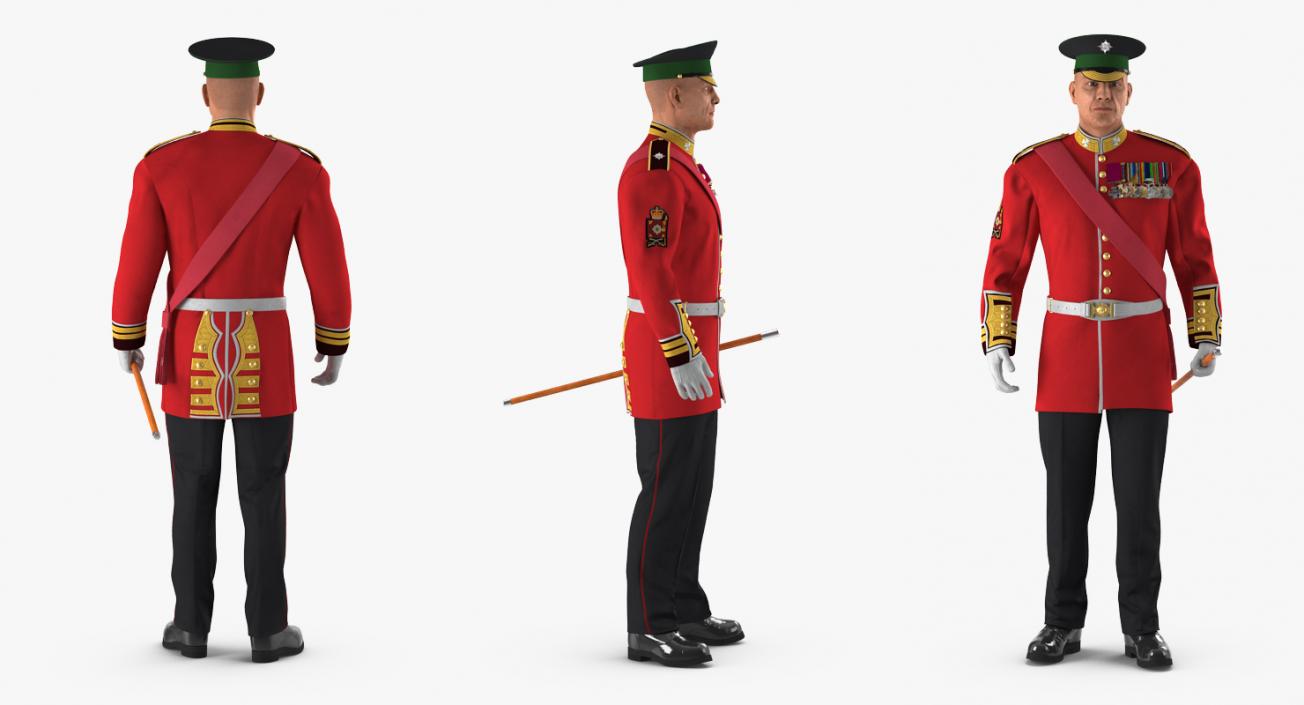 Irish Guard Sergeant Standing 3D model