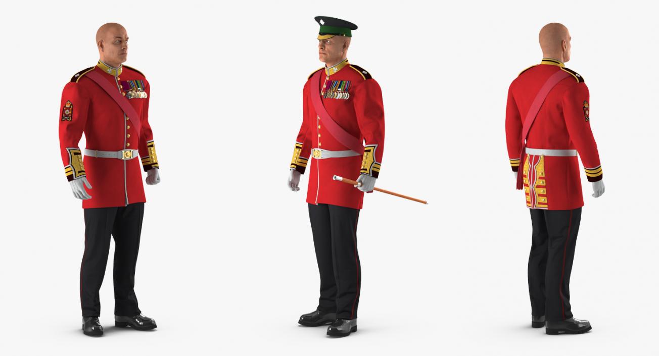 Irish Guard Sergeant Standing 3D model