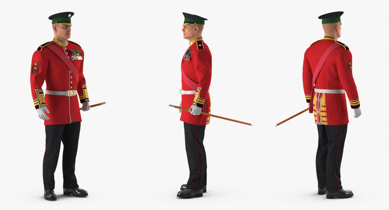 Irish Guard Sergeant Standing 3D model