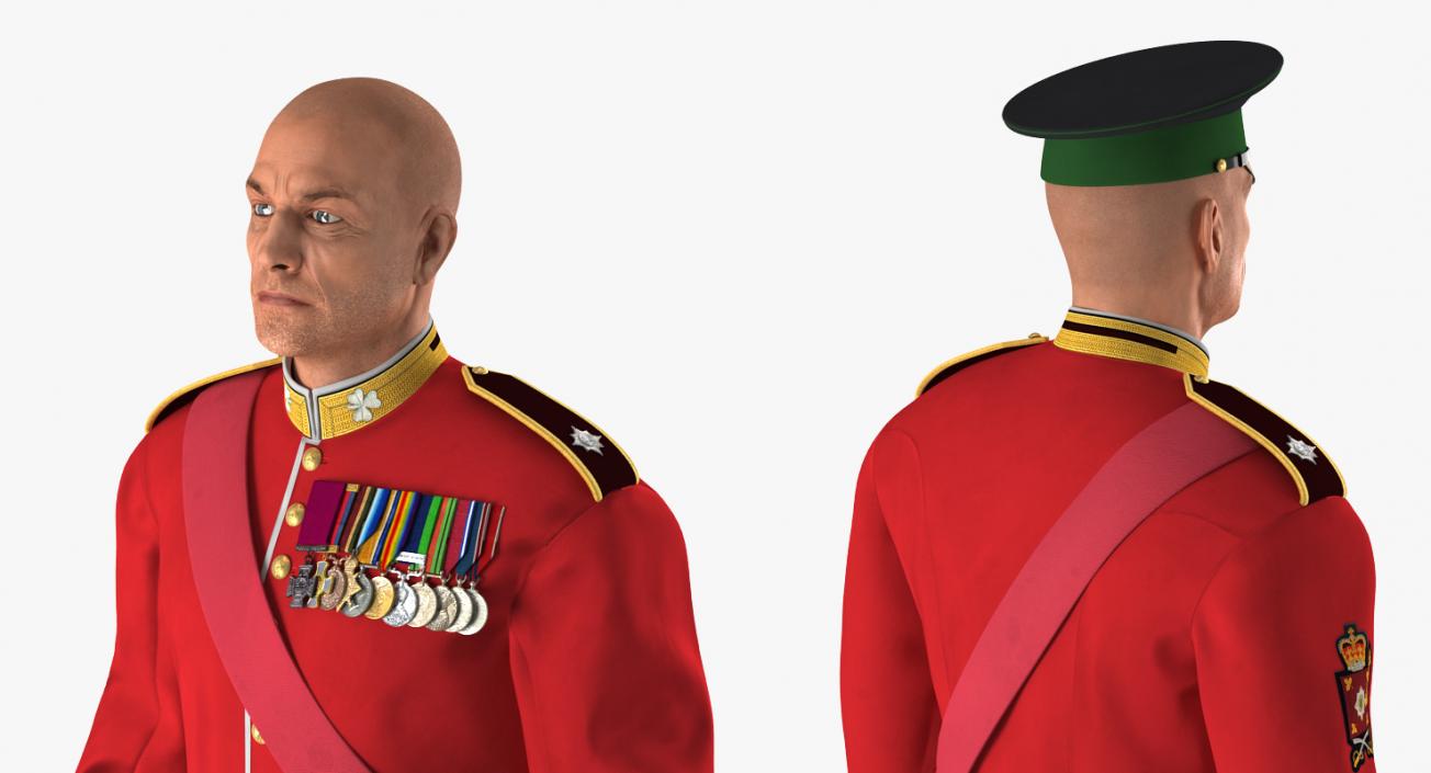 Irish Guard Sergeant Standing 3D model