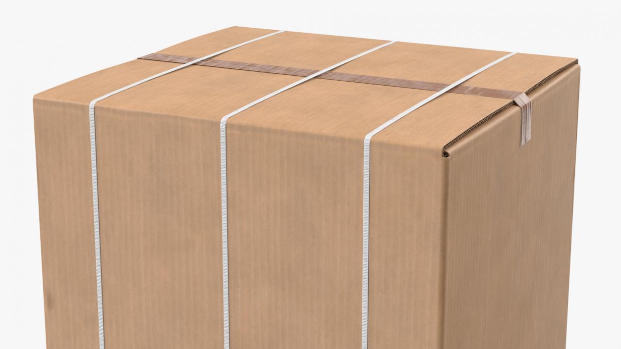 3D Dirty Big Carton Package Box model