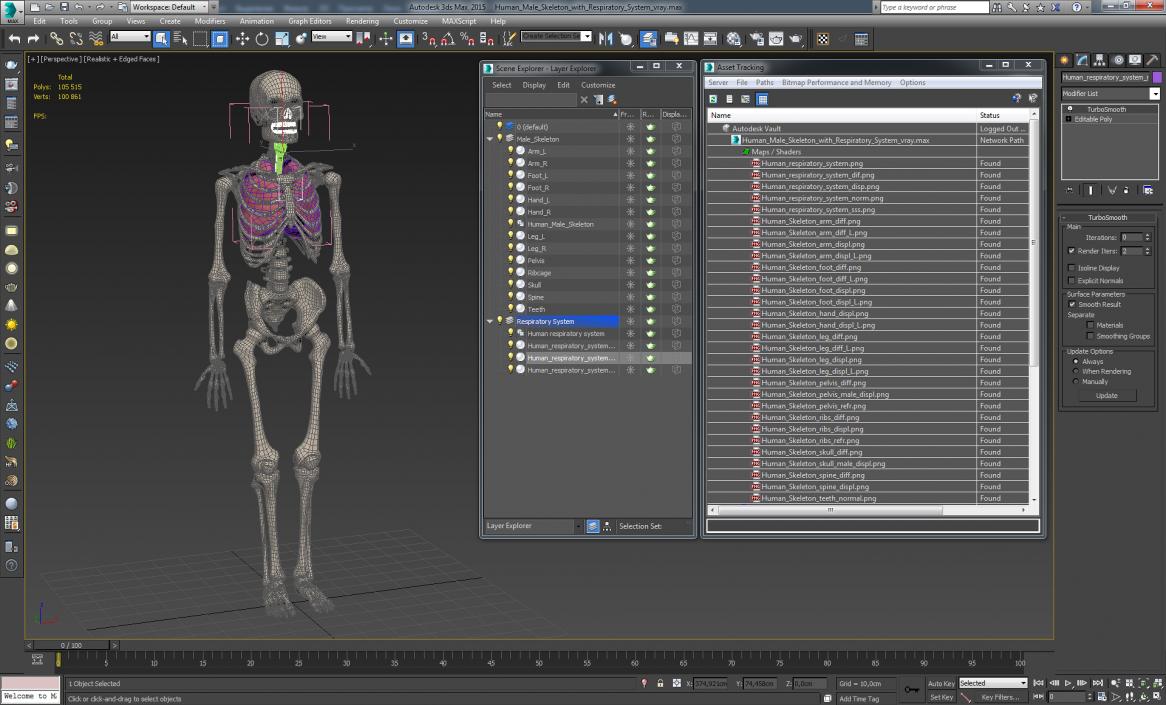 3D Human Male Skeleton with Respiratory System model