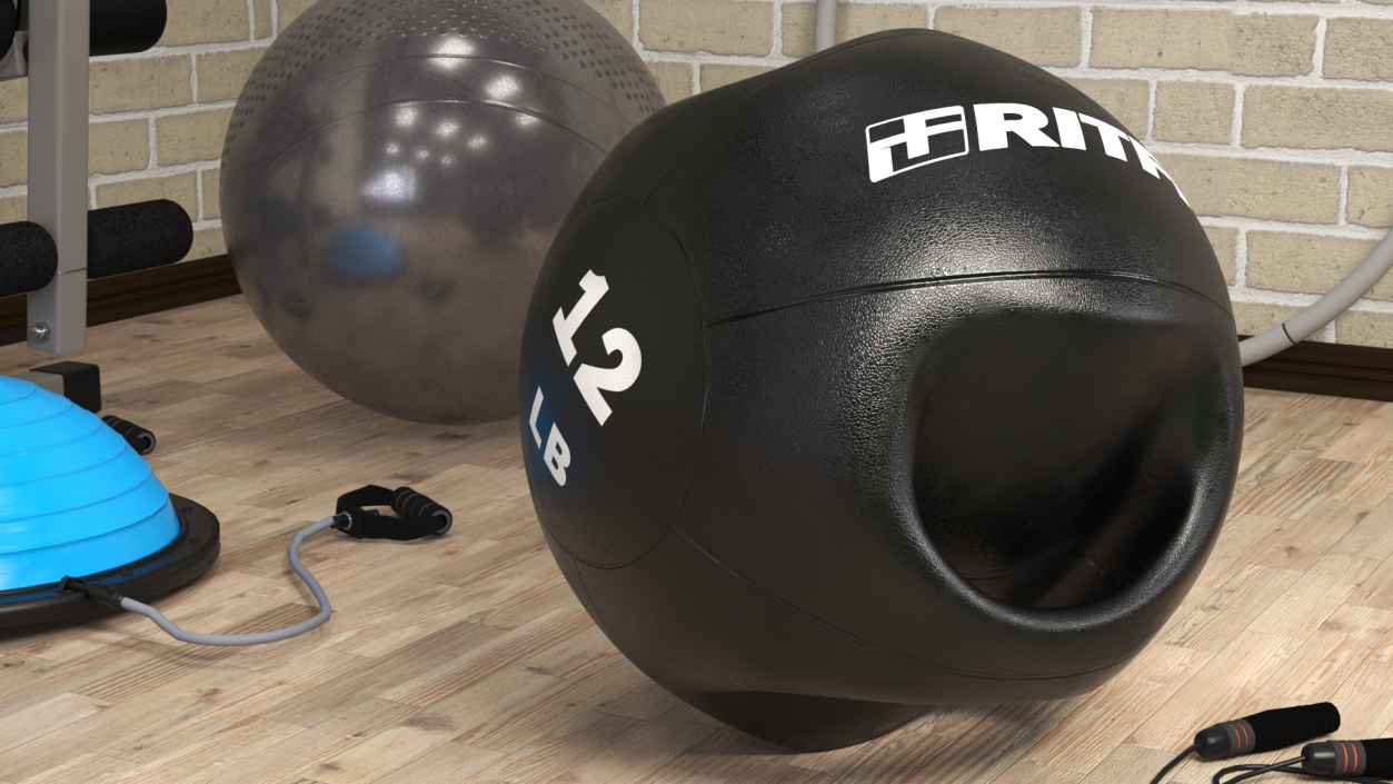 3D Dual Grip Medicine Ball 12LB model