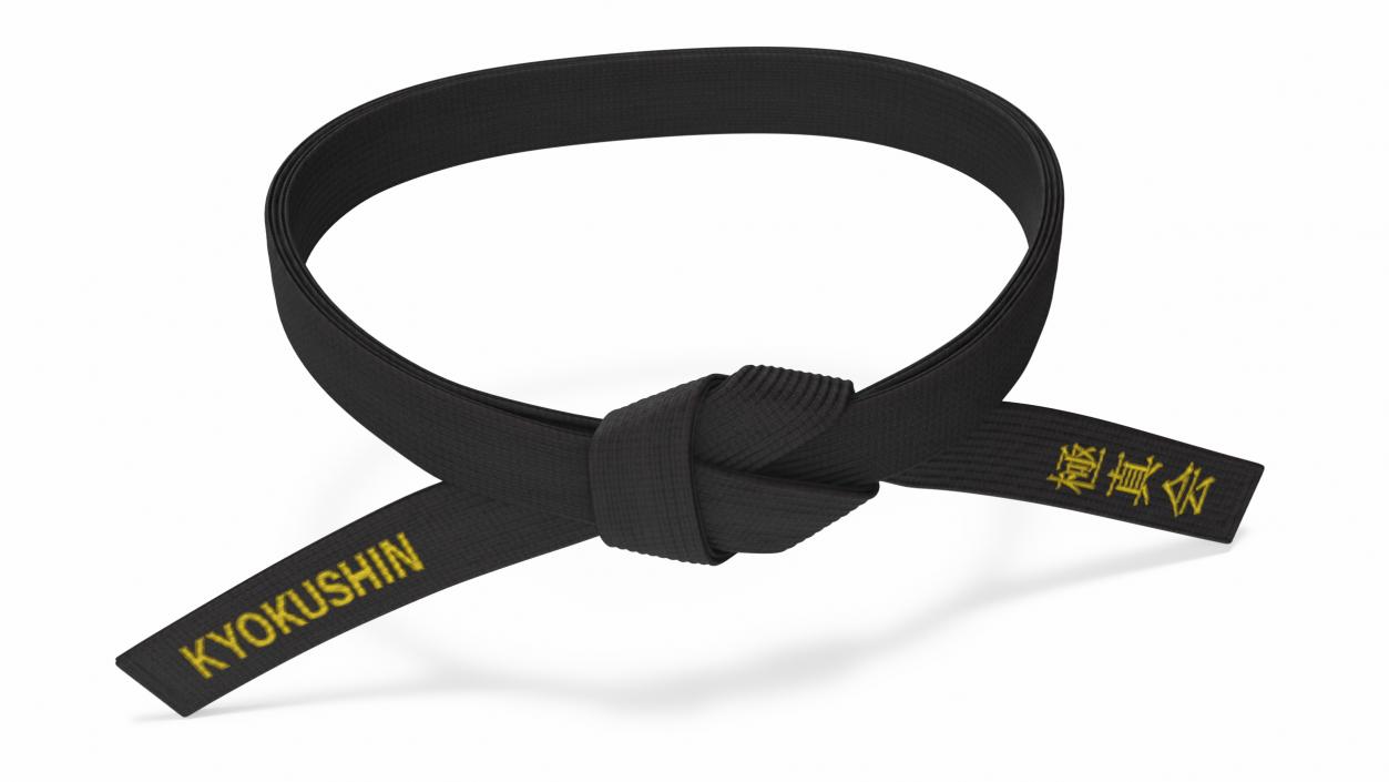 3D model Kyokushin Black Waist Obi Belt