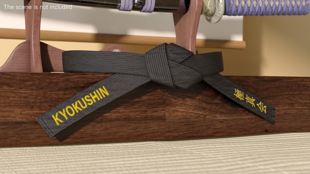 3D model Kyokushin Black Waist Obi Belt