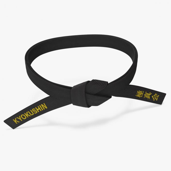 3D model Kyokushin Black Waist Obi Belt